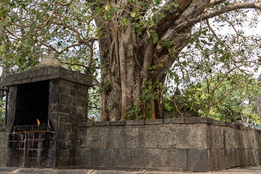 Best Hotels in Dambulla Sri Lanka Cave Temple Area