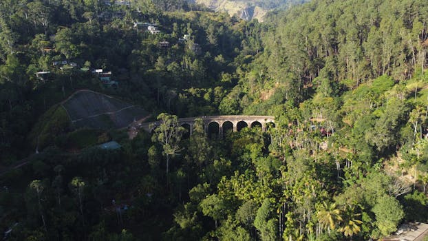 Best Hotels in Ella Sri Lanka Hill Country