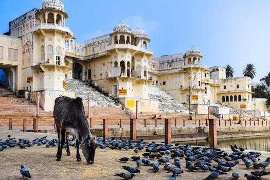 Best Hotels in Pushkar India Lake View