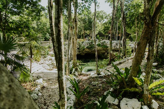 Best Hotels in Tulum Mexico Cenote Zone