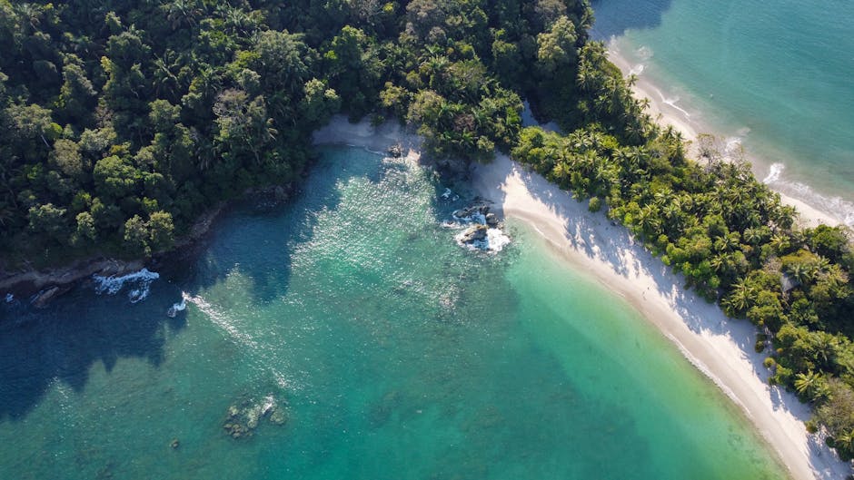 Hotels With Jungle View in Manuel Antonio Costa Rica