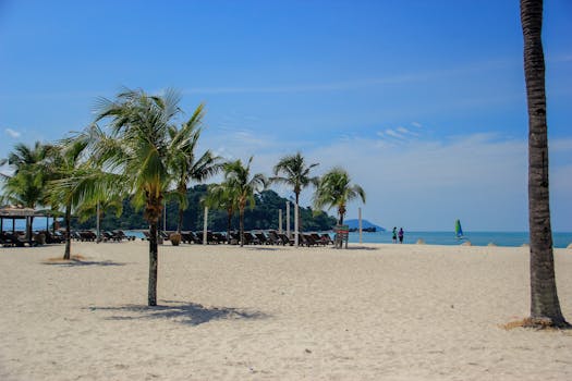 Luxury Resorts in Langkawi Malaysia Rainforest