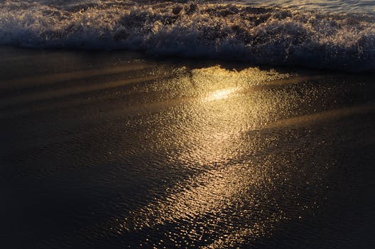 Top Hotels in Sayulita Mexico Surf Village