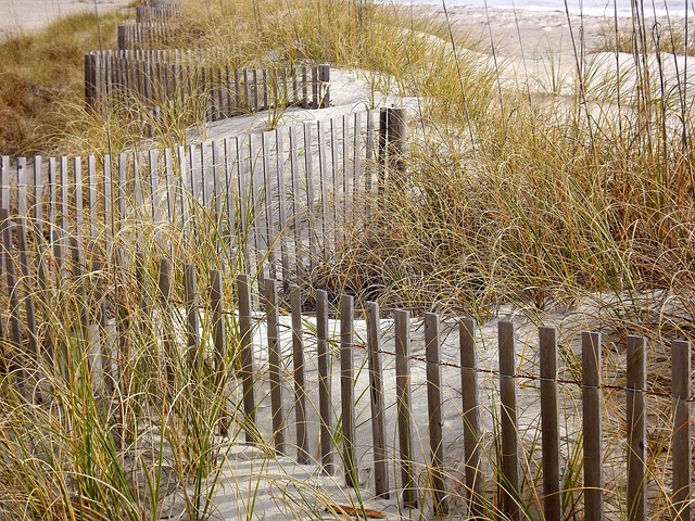 Dune Uruguay havens for understated beach luxury and wind-soft quiet