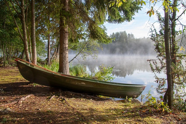 Forest-bent rivers in Latvia carrying green calm through empty routes