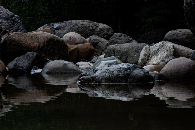 Forest-deep quiet in the Ardennes where rivers bend through shadow