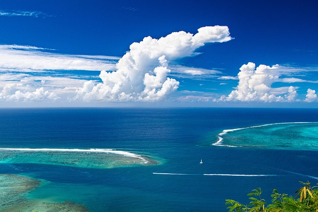 Reef Borneo havens for rainforest air and blue-water peace