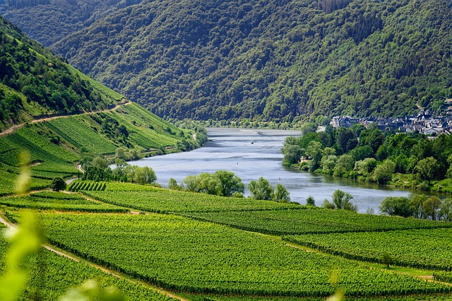 River-valley breathing room across the Balkans with green slopes and silence