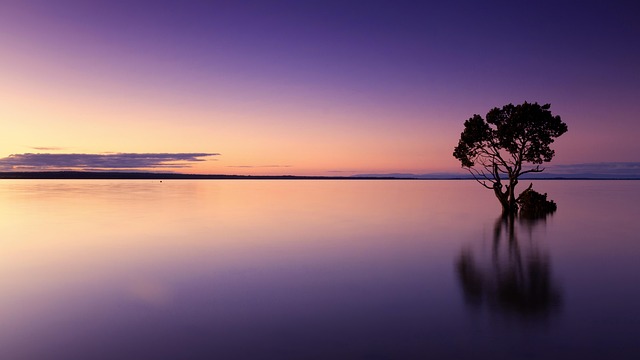 Saunalake Finland Sanctuaries for Warm Evenings and Mirror Dawn