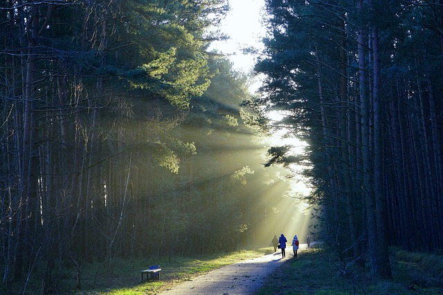Sharp clean air in the Tatras with trails leading toward stillness
