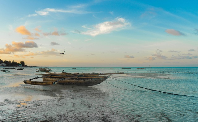 Whitewater Zanzibar Havens for Ocean Breeze and Sand-Soft Mornings